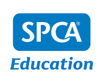 spcateacherseducation